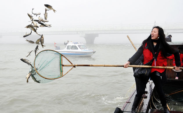 Week in Wildlife: Chinese officials release algae-eating fish into Taihu Lake in Suzhou