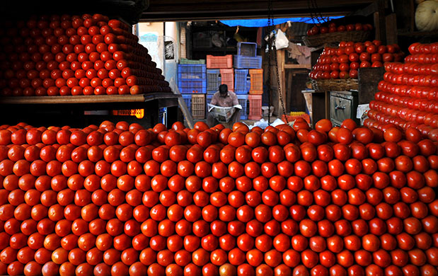 24 hours: Bangalore, India: A vegetable vendor awaits customers behind tomatoes