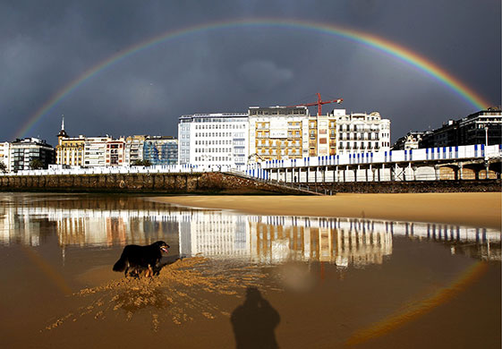 24 hours: San Sebastian, Spain: A dog plays under a rainbow at La Concha beach