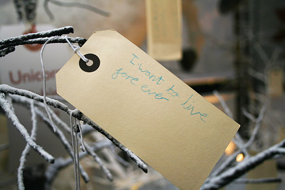 In Pictures: greed: Wish tree