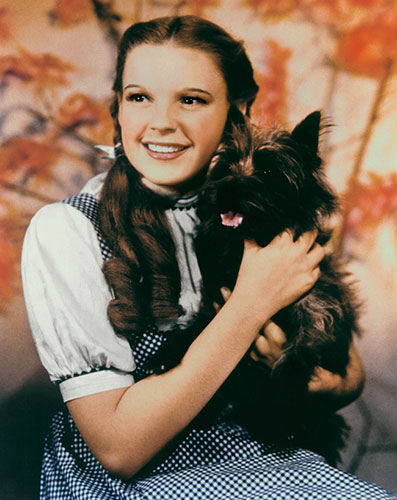 Philip French film 100: Wizard of Oz