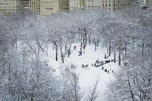 24 Hours in Pictures: Children sled in Central Park after a snowstorm in New York