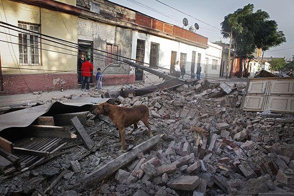24 Hours in Pictures: A dog stands in the debris of a collapsed wall in central Santiago
