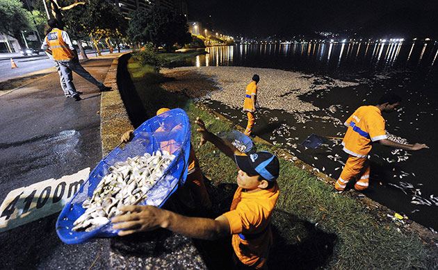 24 hours in pictures: Hordes of dead fish in Rodrigo de Freitas lagoon in Rio de Janeiro, Brazil