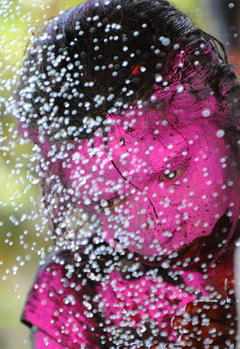 Holi colour celebration: Holi, a Hindu colour celebration