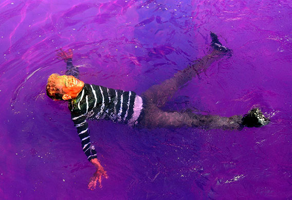 Holi colour celebration: Holi, a Hindu colour celebration