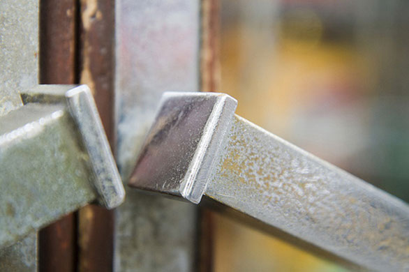 Robert Proctor's macro: Robert Proctor participates in the macro photography monthly assignment