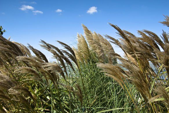 Stan Dickinson's folio: A review of Stan Dickinson's portfolio