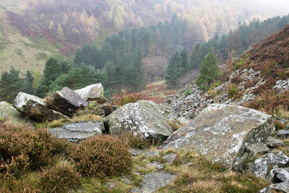 Stan Dickinson's folio: A review of Stan Dickinson's portfolio