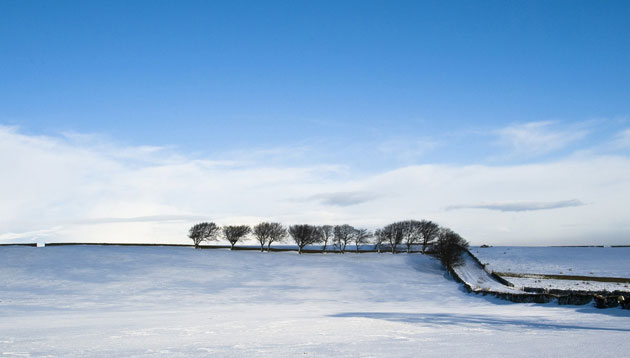 Stan Dickinson's folio: A review of Stan Dickinson's portfolio