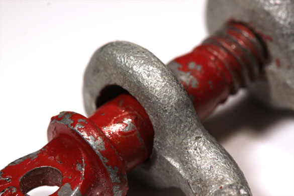 Andy Web's macro: Andy Web participates in the macro photography monthly assignment