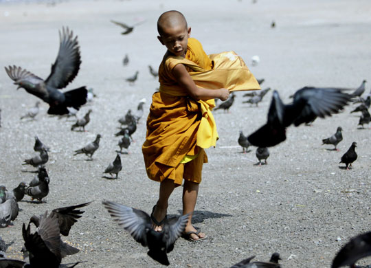 Eyewitness: Bangkok, Thailand: A young monk plays with pigeons at Sanam Luang