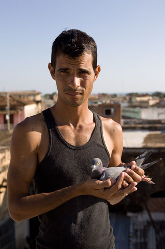 Cuban Stories: Michel Palacio Colina, who trains messenger pigeons for racing