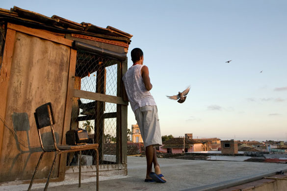 Cuban Stories: Michel Palacio Colina watches his birds take off