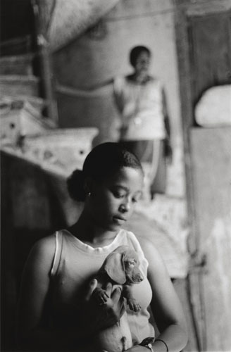 Cuban Stories: A girl with a dachshund