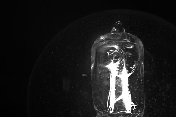 Eebygumcaptain's macro: Eebygumcaptain participates in the macro photography monthly assignment