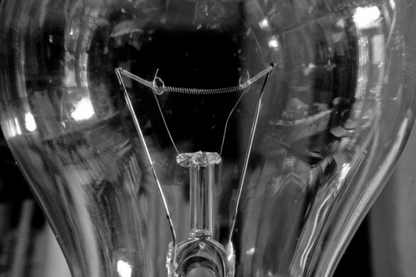 Eebygumcaptain's macro: Eebygumcaptain participates in the macro photography monthly assignment