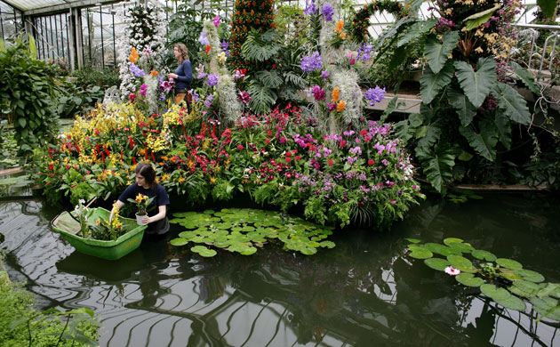 2010 Biodiversity Year: Tropical Extravaganza installation at The Royal Botanic Kew Gardens