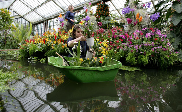 2010 Biodiversity Year: Tropical Extravaganza installation at The Royal Botanic Kew Gardens