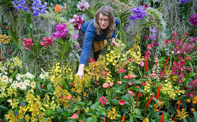 2010 Biodiversity Year: Tropical Extravaganza installation at The Royal Botanic Kew Gardens