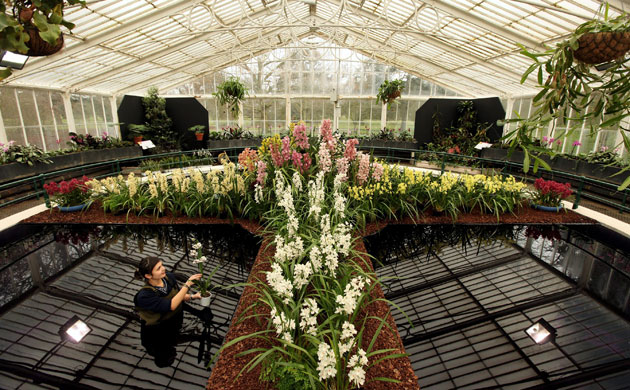 2010 Biodiversity Year: Tropical Extravaganza installation at The Royal Botanic Kew Gardens