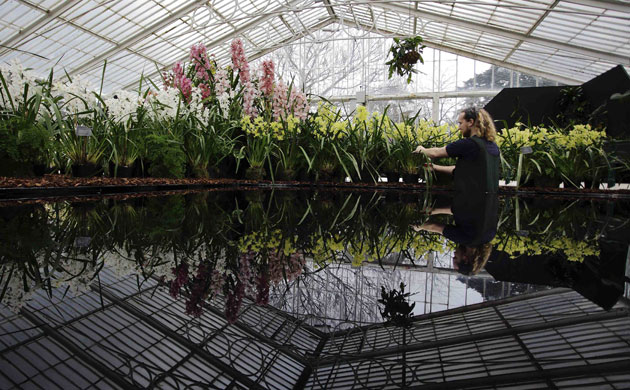 2010 Biodiversity Year: Tropical Extravaganza installation at The Royal Botanic Kew Gardens