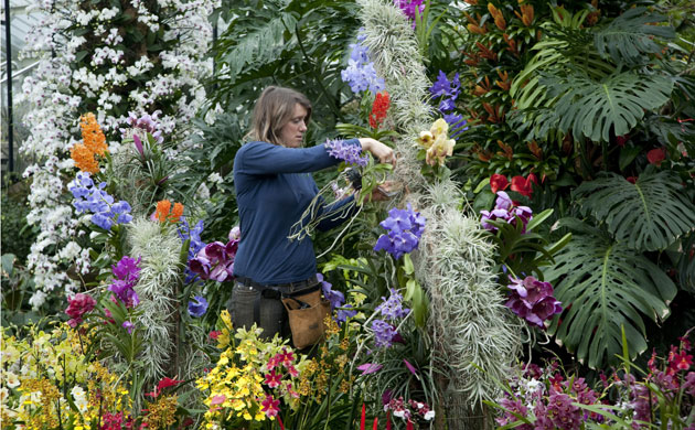 2010 Biodiversity Year: Tropical Extravaganza installation at The Royal Botanic Kew Gardens