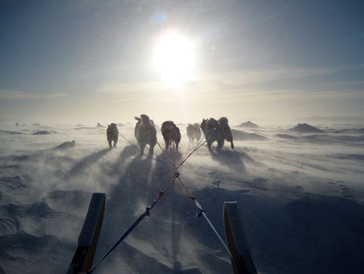 24 hours: Iqaluit, Canada: Inuit dogs pull a sled using traditional harness 