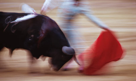 A matador and bull