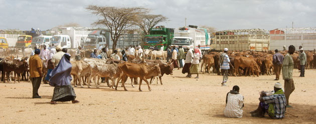 Modern and Mobile: The future of livestock production in Africa's drylands