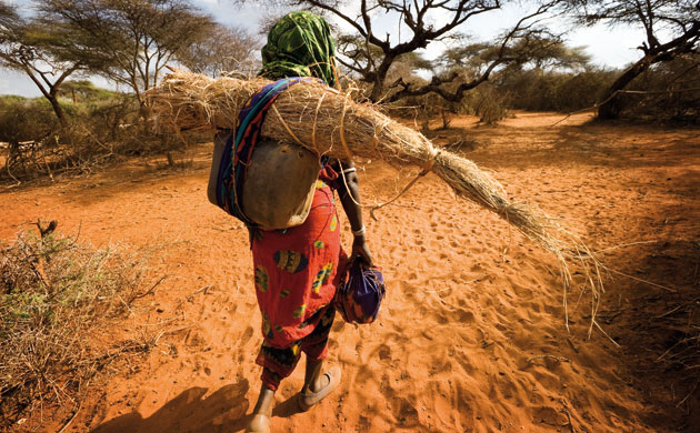 Modern and Mobile: The future of livestock production in Africa's drylands