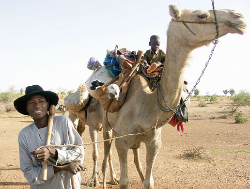 Modern and Mobile: The future of livestock production in Africa's drylands