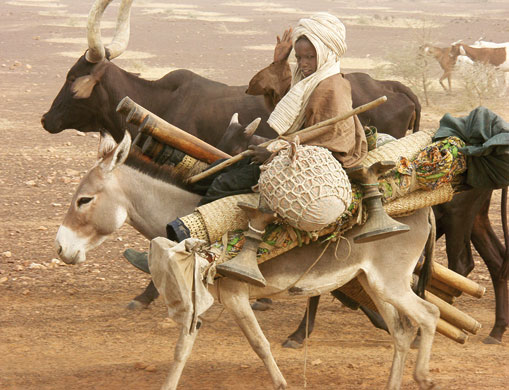 Modern and Mobile: The future of livestock production in Africa's drylands
