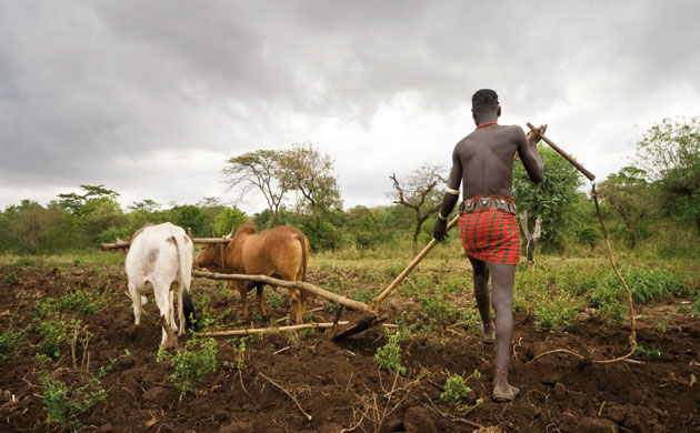 Modern and Mobile: The future of livestock production in Africa's drylands