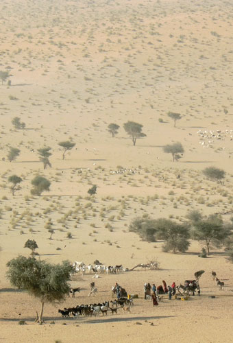 Modern and Mobile: The future of livestock production in Africa's drylands