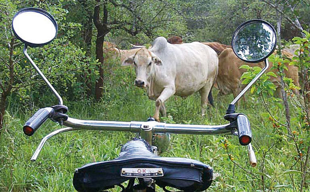 Modern and Mobile: The future of livestock production in Africa's drylands