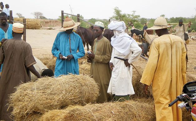 Modern and Mobile: The future of livestock production in Africa's drylands
