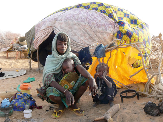 Modern and Mobile: The future of livestock production in Africa's drylands