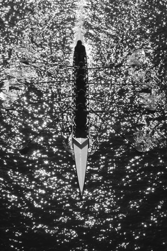 Readers' pics: exercise: Shot from above of a rower training on a river on a sunny day in Melbourne