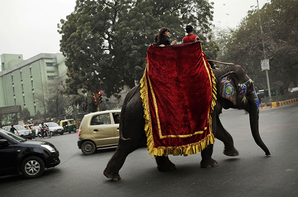 24 hours in pictures: New Delhi, India: An unidentified newlywed couple rides on an elephant