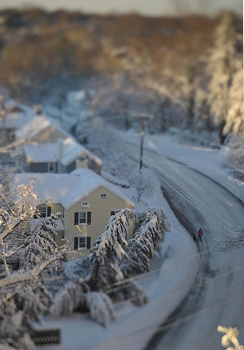 24 hours in pictures: Chevy Chase, US: A woman walks her dog on a snow covered street