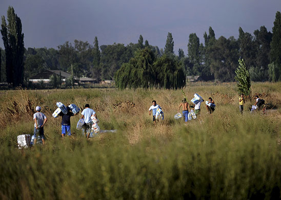 Chile earthquake: Looters carry merchandise they stole from a market in Santiago