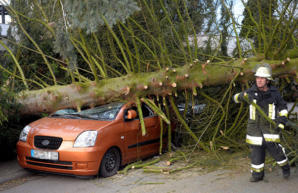 Storm damage in Europe: A car under a fallen tree in Darmstadt, Germany
