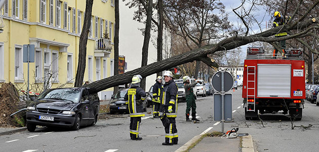 Storm damage in Europe: Firemen try to remove a tree which fell onto a car  in Mainz, Germany