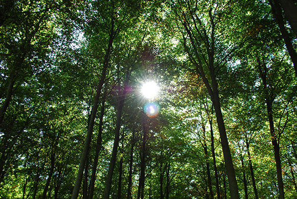 Exhibitionist 13/02: Heliocentric