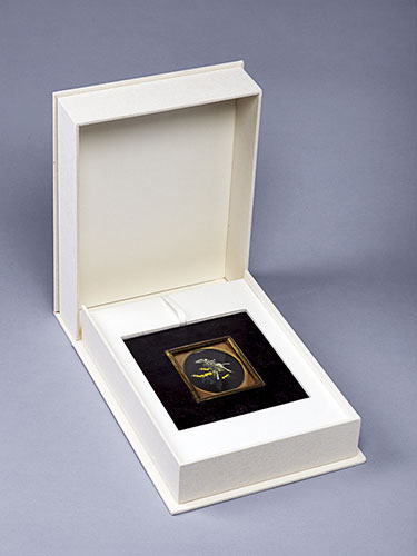 Oxfam: Oxfam Ox-Tales