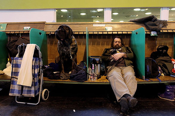 Crufts: A man sleeps with his dog while waiting by the practice arena