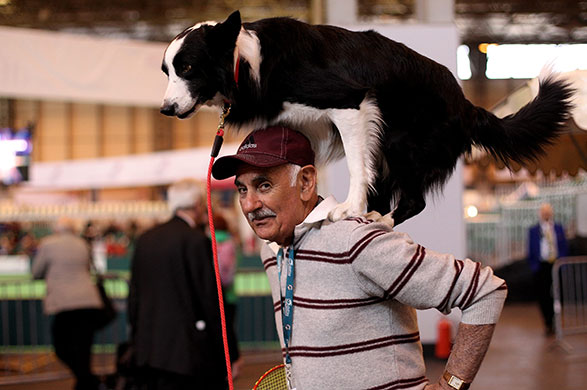 Crufts: A man and his dog practice their routine