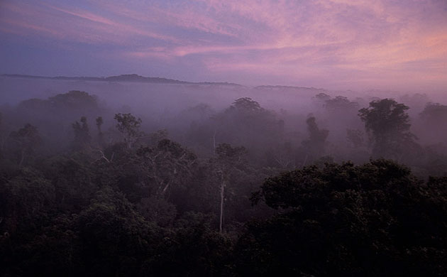 Cristalino State Park: Amazon’s Cristalino State Park, Brazil