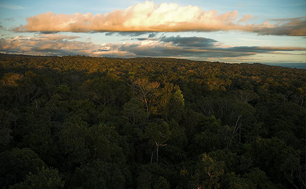 Cristalino State Park: Amazon’s Cristalino State Park, Brazil